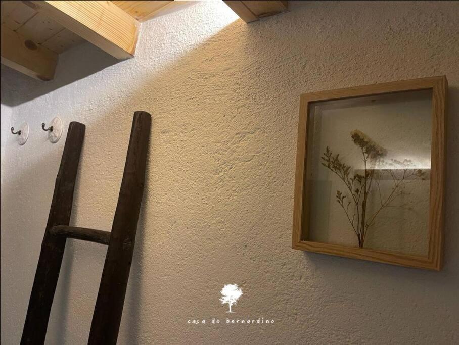 Cabril  Casa Do Bernardino 빌라 외부 사진