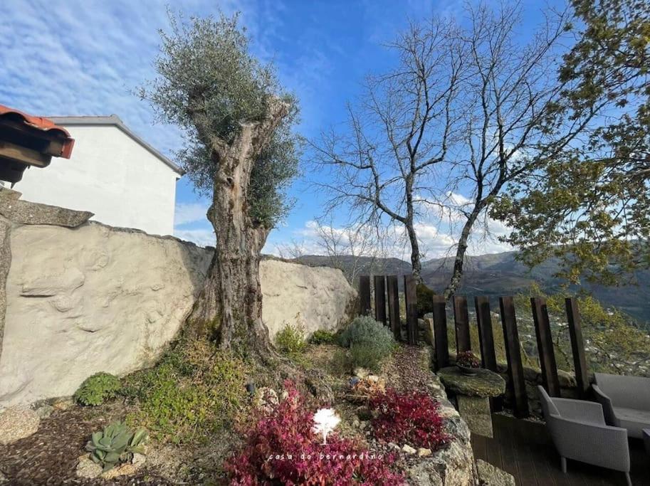 Cabril  Casa Do Bernardino 빌라 외부 사진